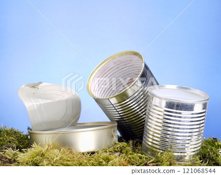 Empty metal cans in the grass 121068544