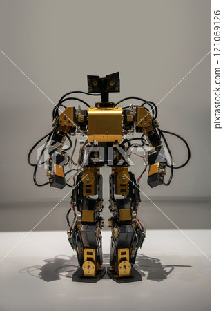 [Material] A futuristic looking metallic humanoid robot made of microprocessors and cables. 121069126
