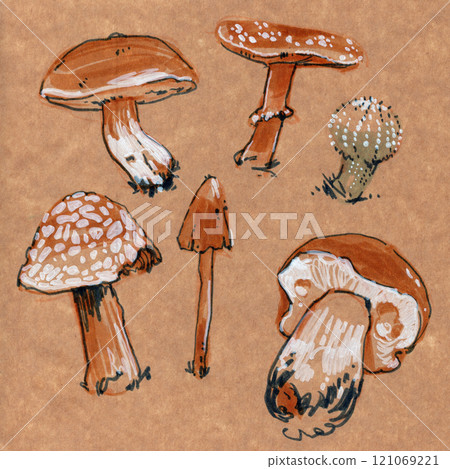 Artistic representation of mushrooms on tinted paper 121069221