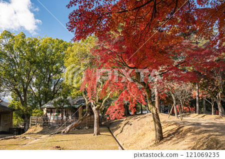 秋葉奈良公園 秋葉奈良公園 121069235