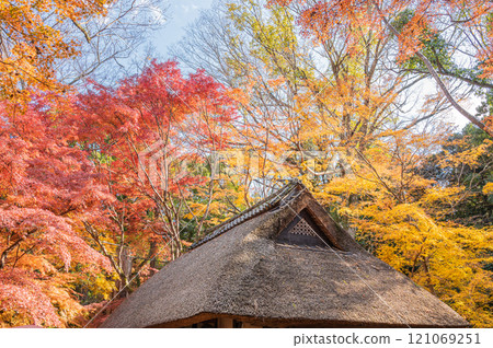 A teahouse with a straw roof covered in autumn leaves in Nara Park A teahouse with a straw roof covered in autumn leaves in Nara Park 121069251