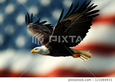 american bald eagle with usa flag on background 121069431