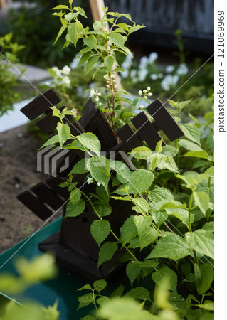A Beautiful Decorative Windmill Nestled Amongst Lush Green Plants and Foliage Surrounds 121069969