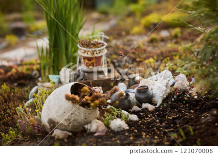 Discover a Serene and Aesthetic Garden Decor Featuring Beautiful Succulents and Natural Elements 121070008