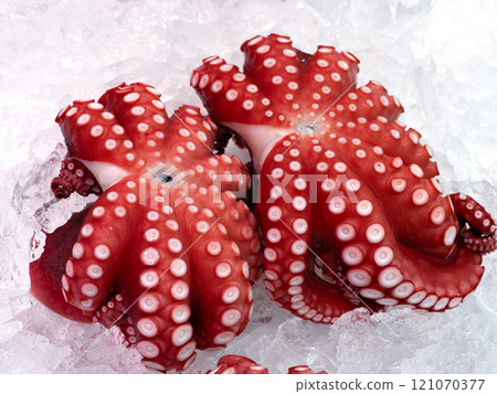 Boiled octopus lined up in the market 121070377