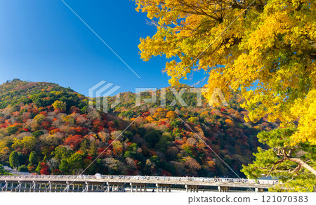 京都嵐山的秋葉,渡月橋 京都嵐山的秋葉,渡月橋 121070383