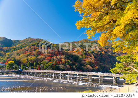 京都嵐山的秋葉,渡月橋 京都嵐山的秋葉,渡月橋 121070384