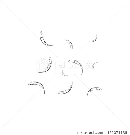 Feather background 121071186