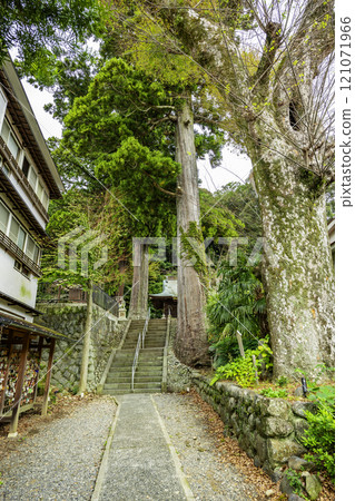 Izu Shuzenji Hie Shrine Approach Izu City, Shizuoka Prefecture 121071966