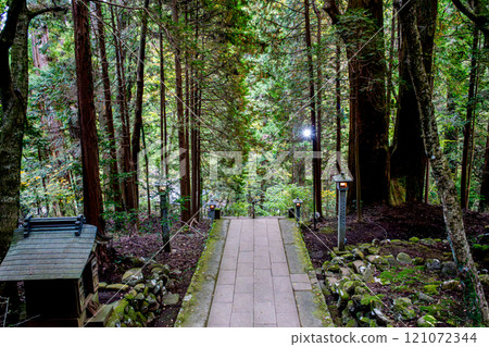 "Saijoji Temple" Stairs surrounded by trees (Minamiashigara City, Kanagawa Prefecture) 121072344
