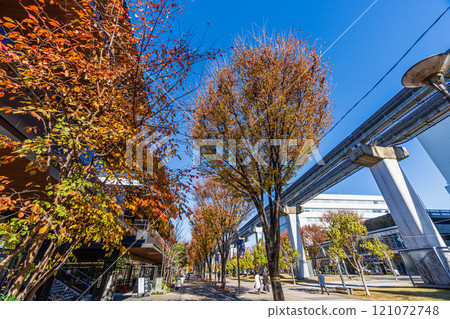東京 立川 GREEN SPRINGS 立川舞台花園 121072748