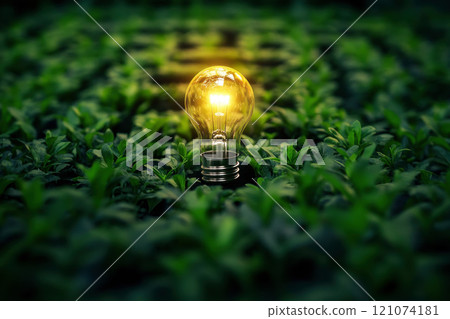 A glowing lightbulb sits at the center of a sprawling, green maze, symbolizing an idea or solution within a complex problem 121074181