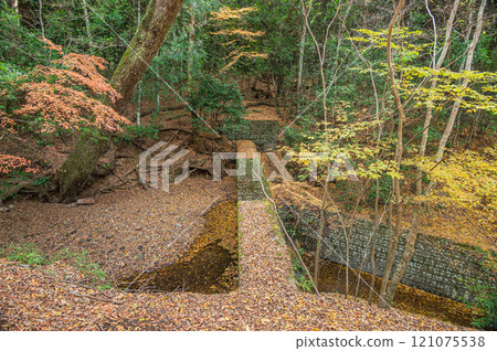Kasugayama Primeval Forest, Nara City Kasugayama Primeval Forest, Nara City 121075538