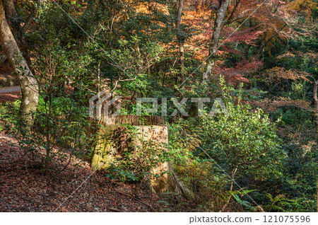 Kasugayama Primeval Forest, Nara City 121075596
