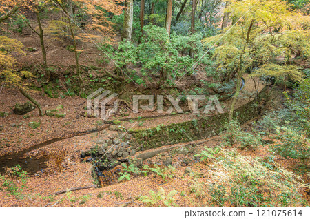 Kasugayama Primeval Forest, Nara City 121075614