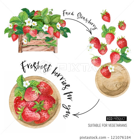 Strawberries in a wooden box. Falling juicy berries in a wooden plate. Farm harvest in a wooden plate. Watercolor illustration for advertising juices, desserts, pastries. 121076184