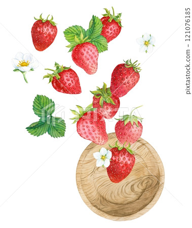 Falling juicy ripe strawberries with green leaves on a white background. Falling berries in a wooden plate. Watercolor illustration for advertising juices, desserts, pastries. 121076185