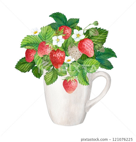 White cup with ripe strawberries. Bouquet of ripe farm berries. Watercolor illustration on a white background. Composition for packing tea, yogurt. White cup with ripe strawberries. Bouquet of ripe farm berries. Watercolor illustration on a white background. Composition for packing tea, yogurt. 121076225