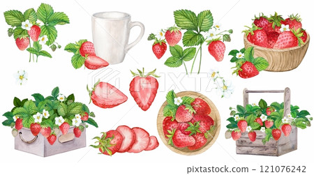 Farm strawberries, large watercolor set. Harvest of ripe berries. Strawberries in a wooden box, on a plate, in a bouquet. Clipart for the design of natural products. Farm strawberries, large watercolor set. Harvest of ripe berries. Strawberries in a wooden box, on a plate, in a bouquet. Clipart for the design of natural products. 121076242