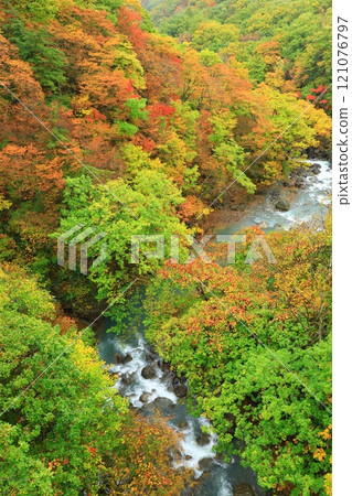 Matsukawa Valley with autumn leaves as seen from Mori-no-Ohashi Bridge Matsukawa Valley with autumn leaves as seen from Mori-no-Ohashi Bridge 121076797