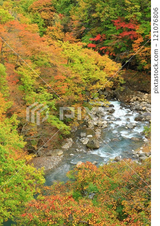從森大橋眺望松川溪谷的紅葉 121076806
