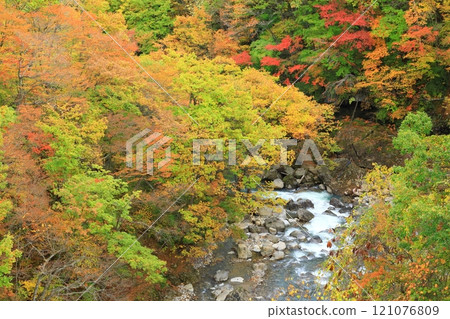 從森大橋眺望松川溪谷的紅葉 從森大橋眺望松川溪谷的紅葉 121076809
