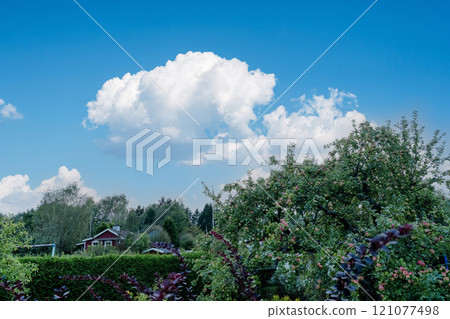 斯堪的納維亞夏季小屋和花園景觀 斯堪的納維亞夏季小屋和花園景觀 121077498