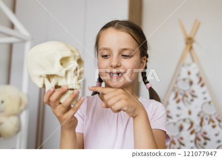 Little Caucasian girl with missing baby teeth examining human skull model at home, showcasing curiosity and learning. Her room is decorated with soft colors and playful elements. 121077947