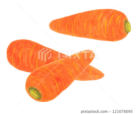 Ginseng illustration 121078095