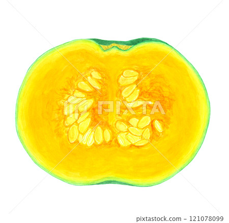 Illustration of a pumpkin cut in half 121078099