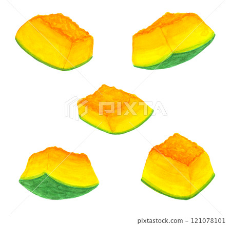 Illustration of a small cut pumpkin 121078101