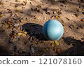 Park's ball 121078160