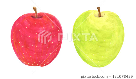 Illustration material of red and green apples 121078459