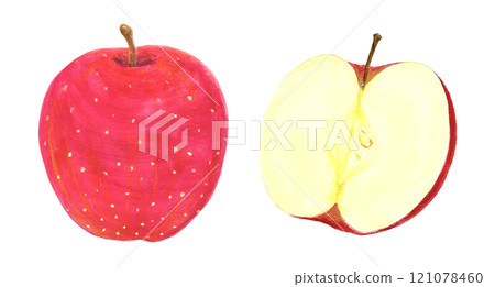 Illustration material of an apple cut in half and a red apple Illustration material of an apple cut in half and a red apple 121078460