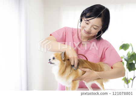 檢查狗的醫學獸醫 121078801