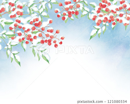 Watercolor painting of snow-holding nandina Watercolor painting of snow-holding nandina 121080334