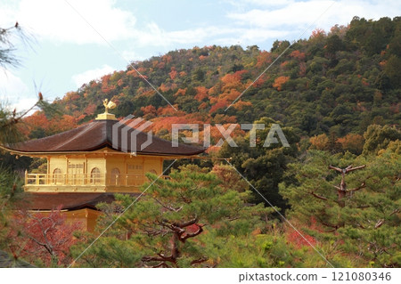 秋葉中的大北山和金閣寺 秋葉中的大北山和金閣寺 121080346