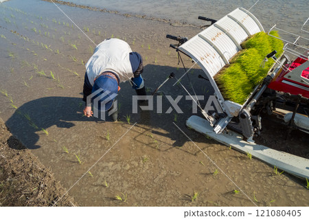 rice planting, seeding, rice transplanter 121080405
