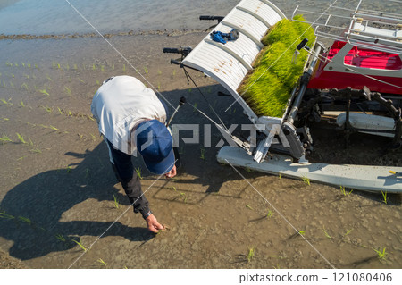 rice planting, seeding, rice transplanter 121080406