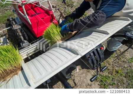 rice planting, farmer, farmhouse 121080413
