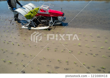 水稻種植 農家 農民 121080418