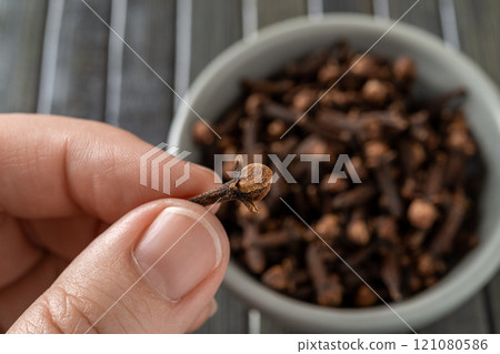 Female fingers hold single clove bud macro. 121080586