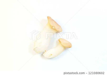 King oyster mushroom 121080602