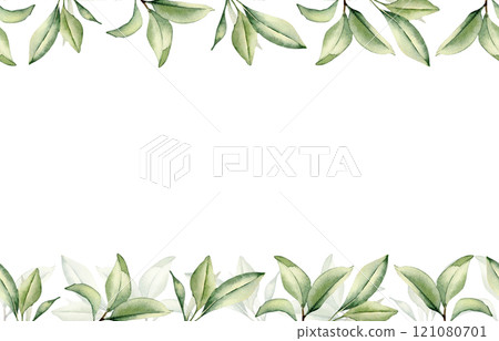 Branch of citrus tree with leaves in watercolor on seamless banner isolated. Grapefruit tree greenery sprigs hand drawn on repeating border. Foliage texture for wedding invitation, packaging, label. 121080701