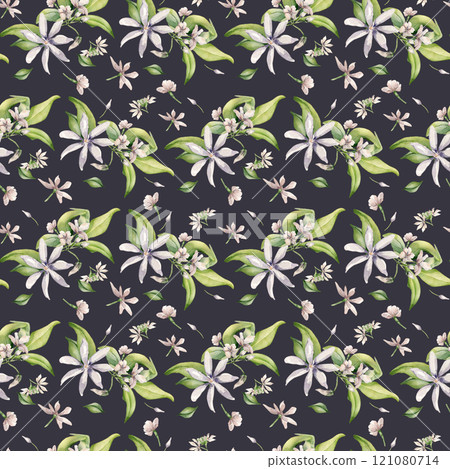 Jasmine blooms, buds, leaves levitation watercolor seamless pattern isolated. Pale pink flowers botanical style hand drawn on repeating texture. White blooming plants background for design textile. 121080714