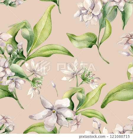 White jasmine bunch, buds, leaves watercolor seamless pattern isolated. Botanical repeated background of pink flowers hand drawn in soft colors. Floral delicate texture for design textile, wrapping. 121080715