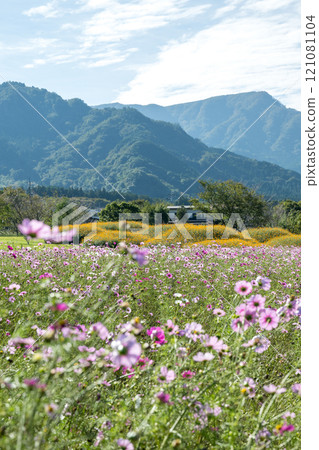 Flowers Flowers 121081104