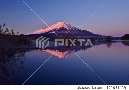 Lake Yamanaka and Mt. Fuji at dawn Lake Yamanaka and Mt. Fuji at dawn 121081439