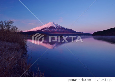 Lake Yamanaka and Mt. Fuji at dawn 121081440