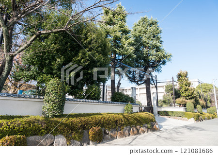 Chofu Municipal Jindaiji Elementary School, clear winter sky and autumn leaves, Jindaiji Motomachi 5-chome, Chofu City, Tokyo 121081686